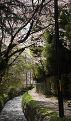 道