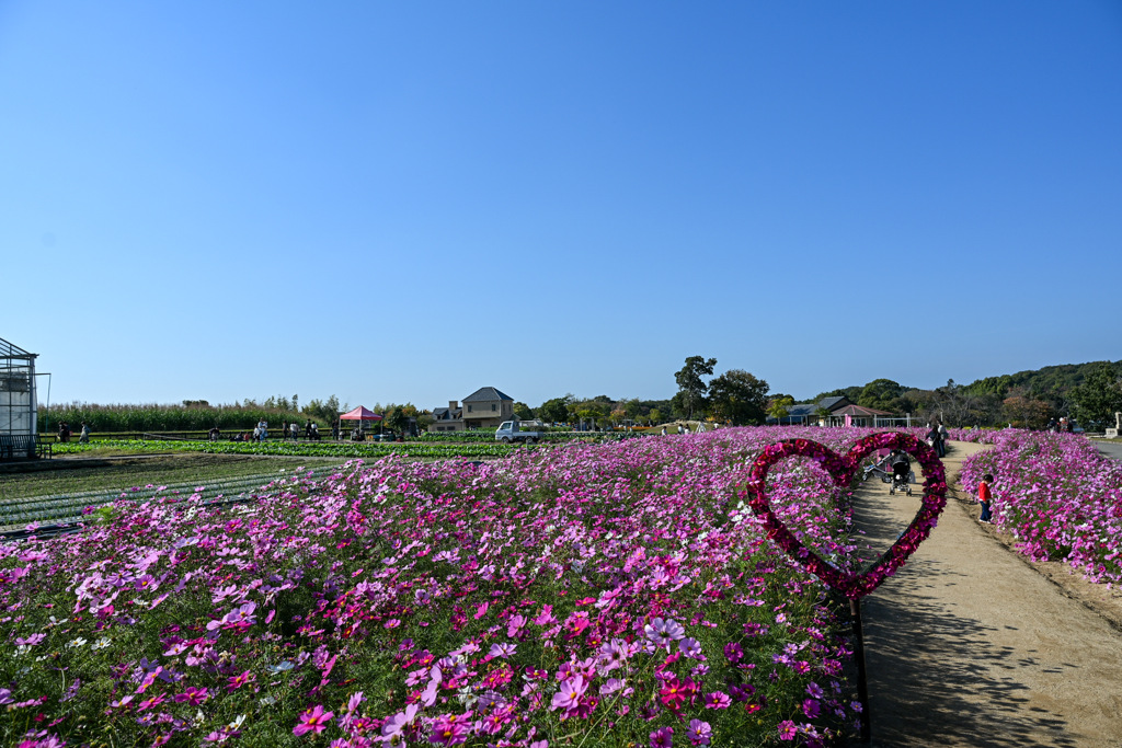 C55DCE5C-DAAB-4B6E-AC56-DCCBACF6FB31