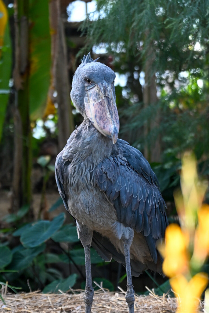 8200D392-8DA1-4A95-8312-26E89A95B22F