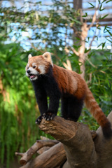 58D4FF21-B213-4C75-BC5B-43AC51790C4D