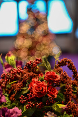 5CDFAC11-8708-4B19-B53D-333F7F1D6650