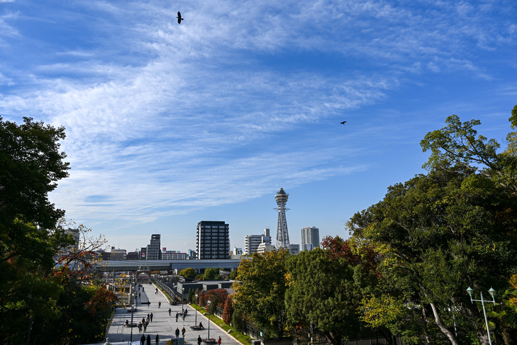 8C48588D-1D65-44D0-ACF6-94656ADE2B8C