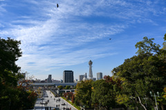 8C48588D-1D65-44D0-ACF6-94656ADE2B8C