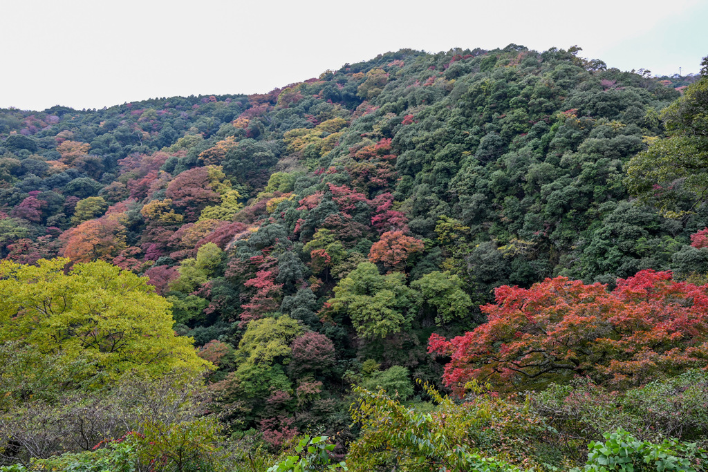 826D8521-D905-41FC-87F5-AD203B4AE7EA