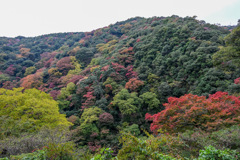 826D8521-D905-41FC-87F5-AD203B4AE7EA