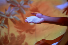 25C29DAB-A05C-457B-9D4D-DCD86C242EB8