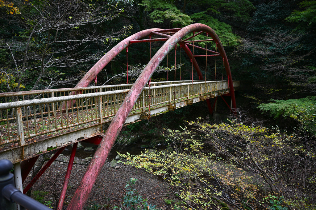 1138A979-B358-4D34-9825-B77E82FA030B