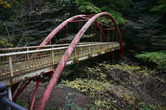 1138A979-B358-4D34-9825-B77E82FA030B