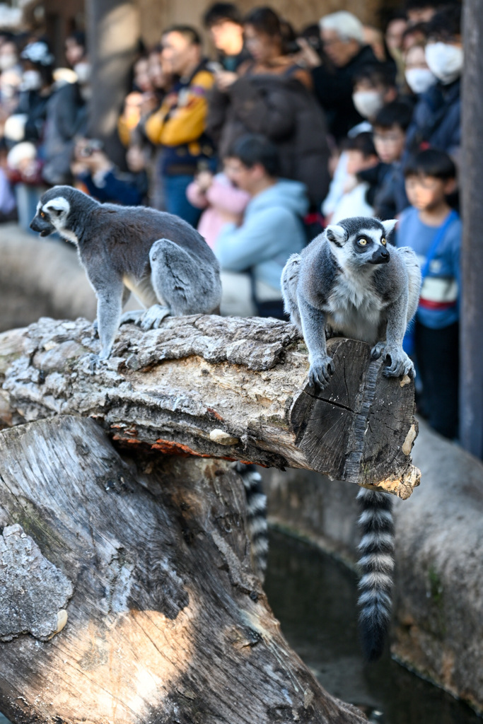 6CB32ED9-EB8B-4C5C-A339-B6F5679BEC59