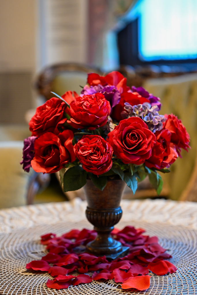 29D9962C-AEB1-4861-9AA2-C25E6307F46E