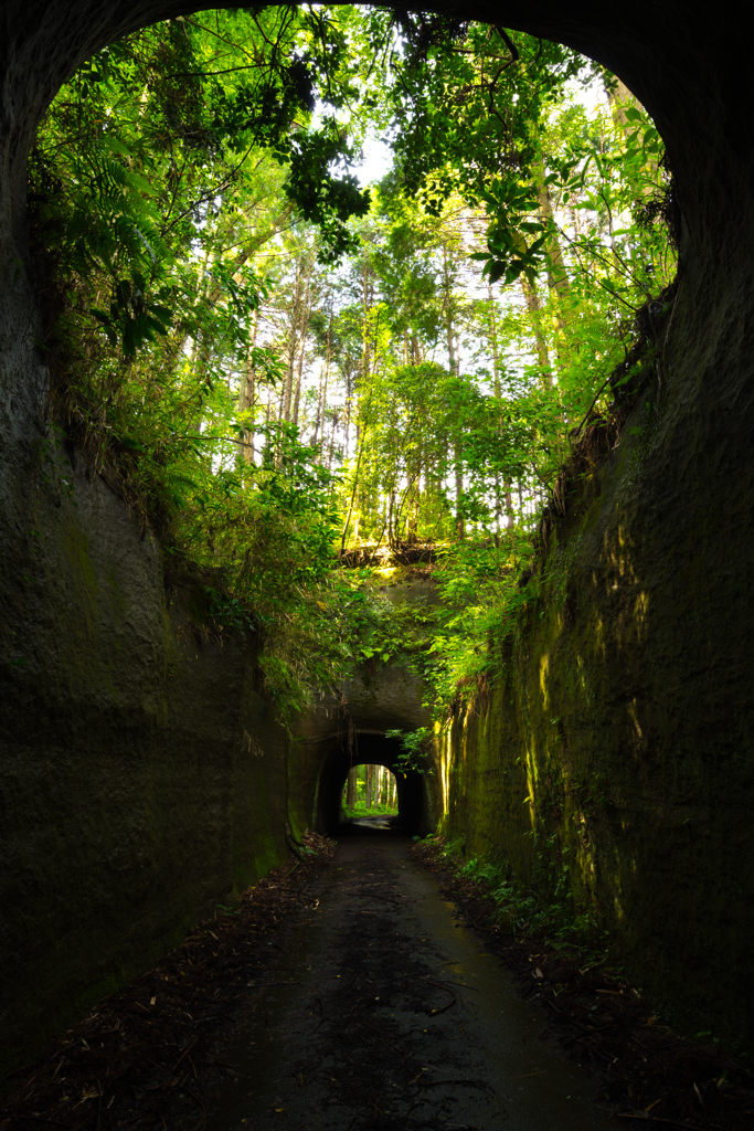 tunnels