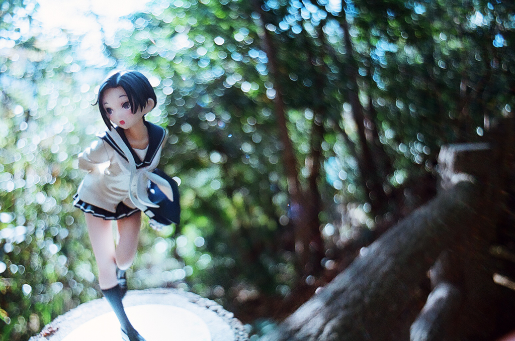 Flektogon 20mm F4