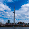 雨上がりの雲とツリー