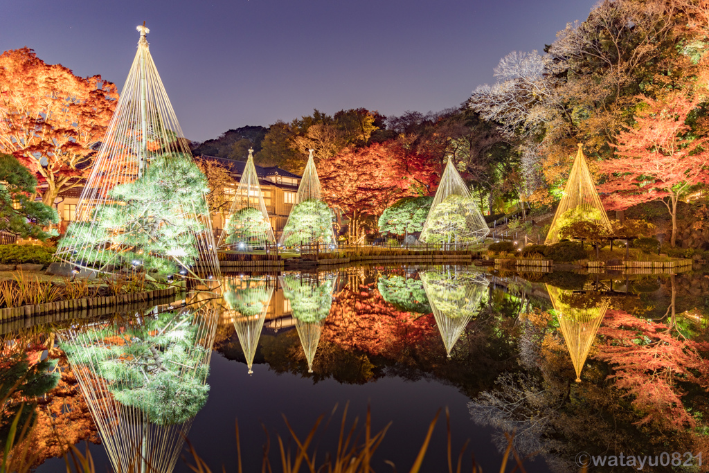 肥後細川庭園 ひごあかり