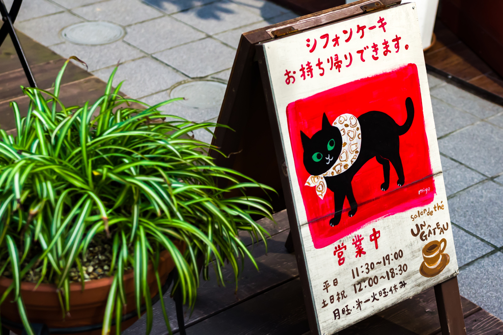 風呂敷を背負った猫