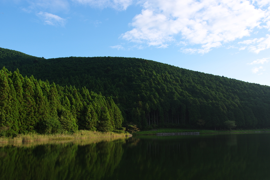 田貫湖畔