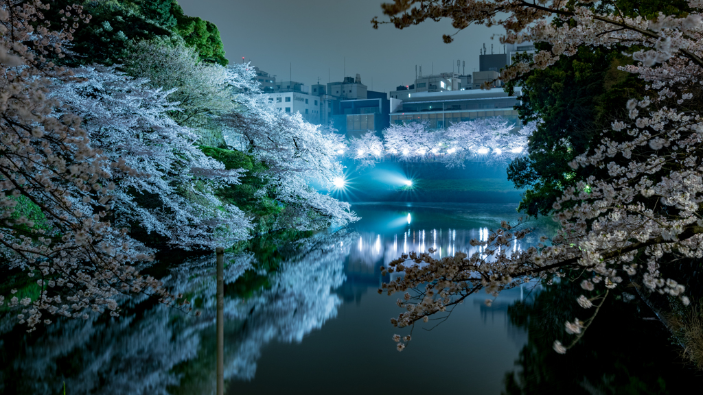 千鳥ヶ淵