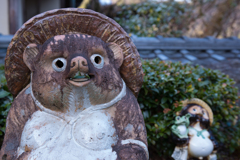 念仏寺のたぬきさん