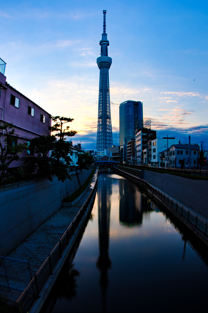 日没、スカイツリー
