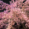 桜降り注ぐ夜