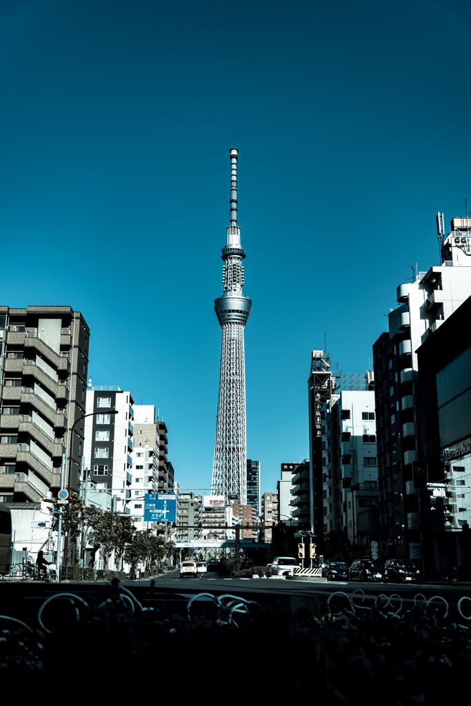 日常を、スペクタクルに