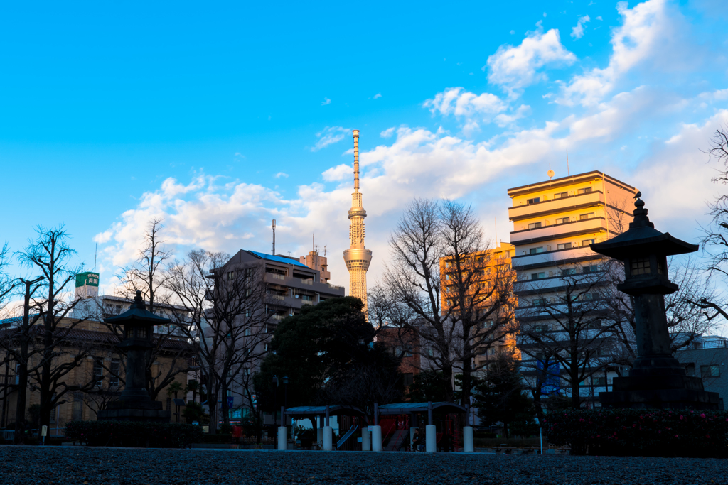 東京都慰霊堂から臨むスカイツリー