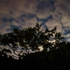 夜空の雲