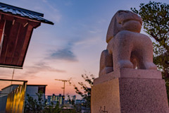 神楽坂 赤城神社の狛犬