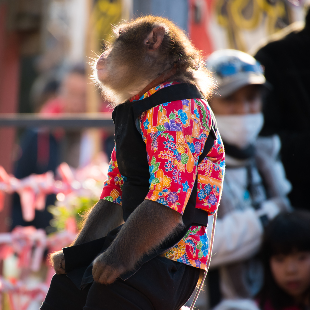 一息つくおさるさん