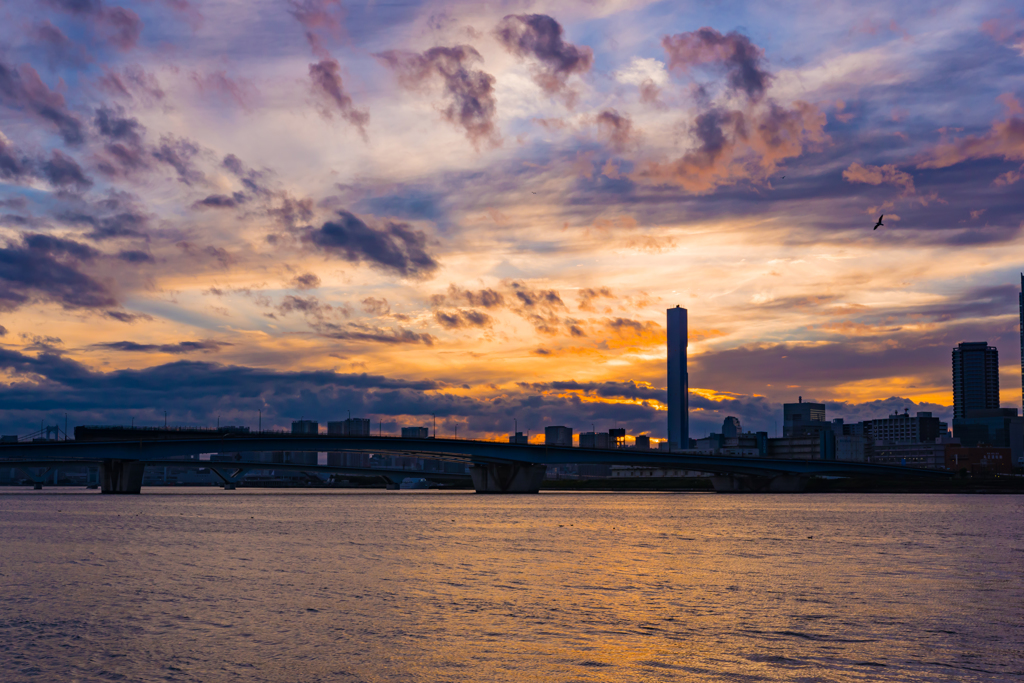 豊洲より秋の夕暮れ