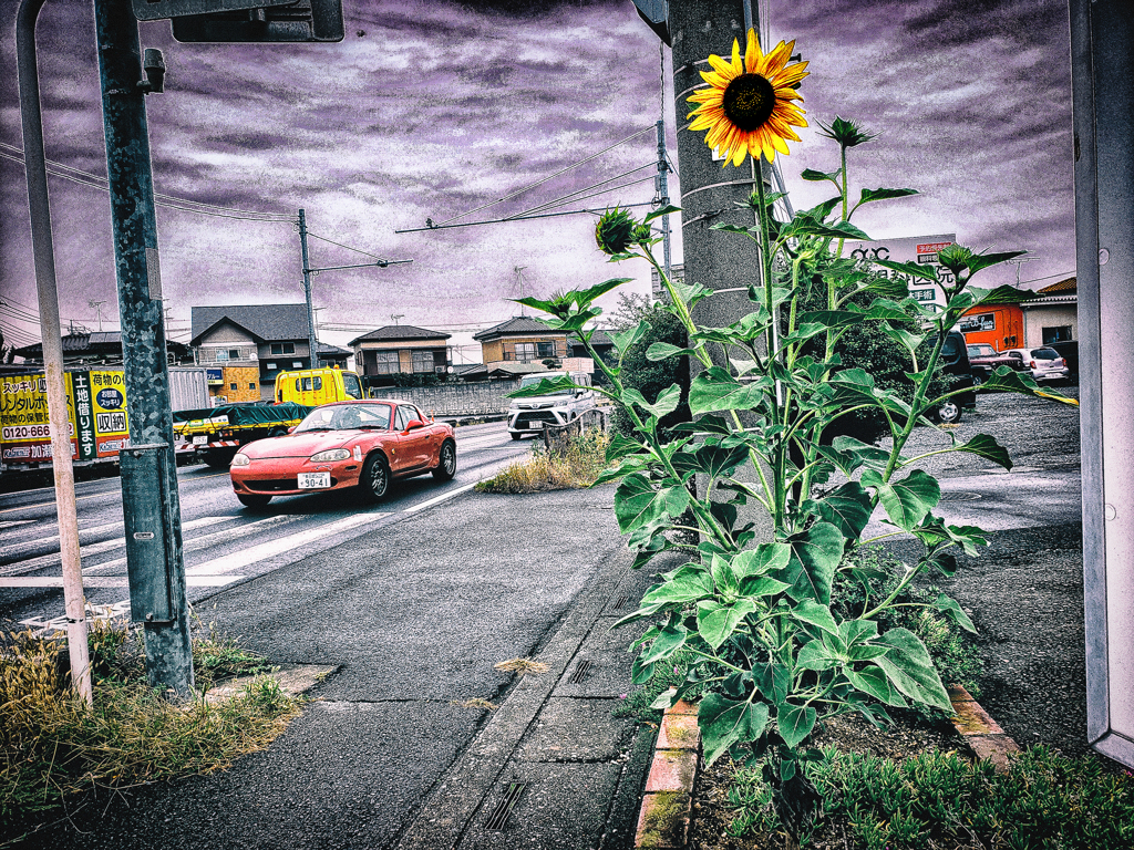 20231110_134808-2-3-4-3