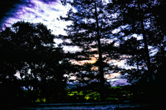 DSC_5766-3