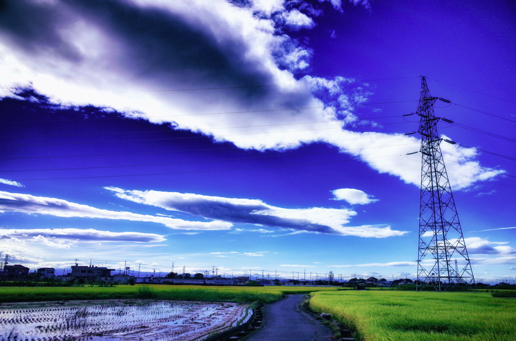 R0010111-2 (1) (1) (3)