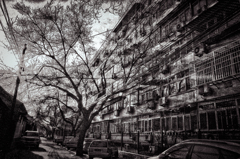 R0021384-4 (1) (2) (1) (1) (1)-2