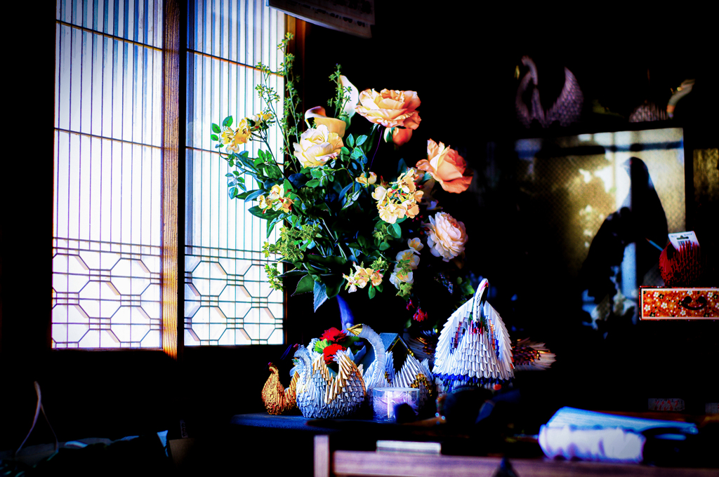 IMGP4039-7-2-2-2-2-2