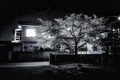 IMG_8876-2-2s1