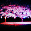 IMG_9036-6-2-2-2-2-2-3