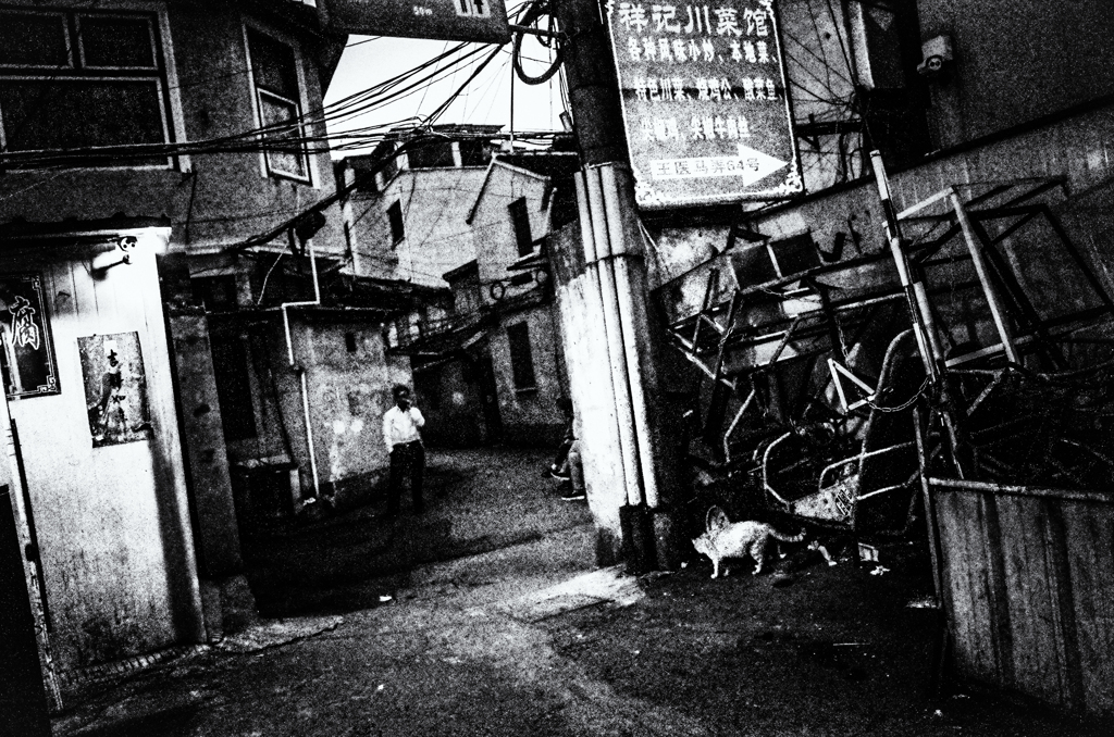 R0031310-211s1