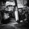 R0031310-211s1