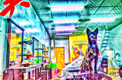 R0001427-5555 (1) (1)