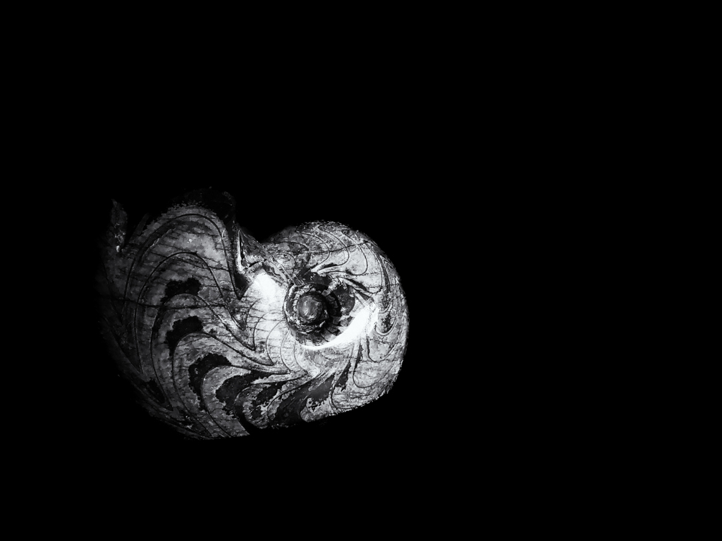 20251001_124103-25s1