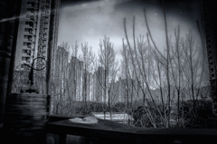 R0011788-2-2-2-2-3-3s1