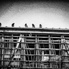 IMGP8536-1-2