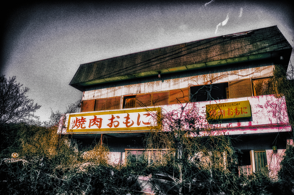 DSC_3626-3-5