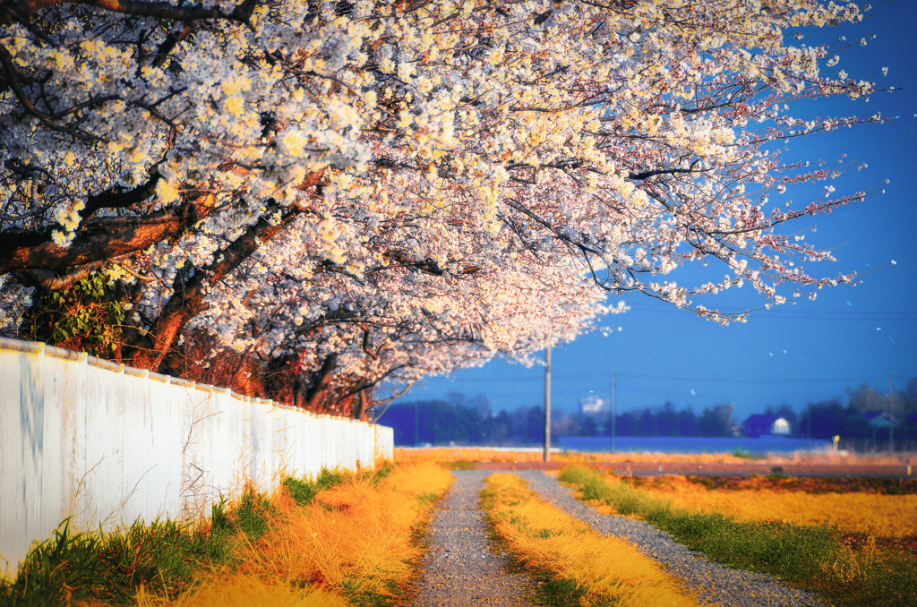 DSC_7815_004-3-2-2-2-2-2