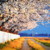 DSC_7815_004-3-2-2-2-2-2
