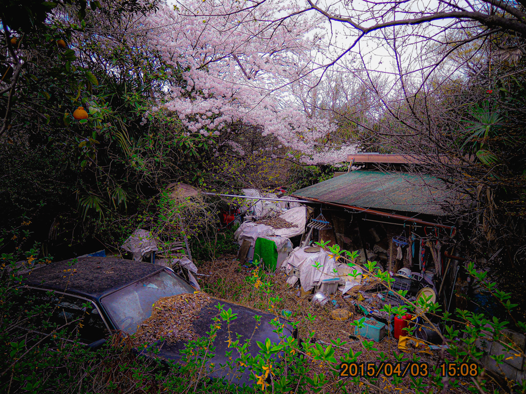 DSCN4020-ps1