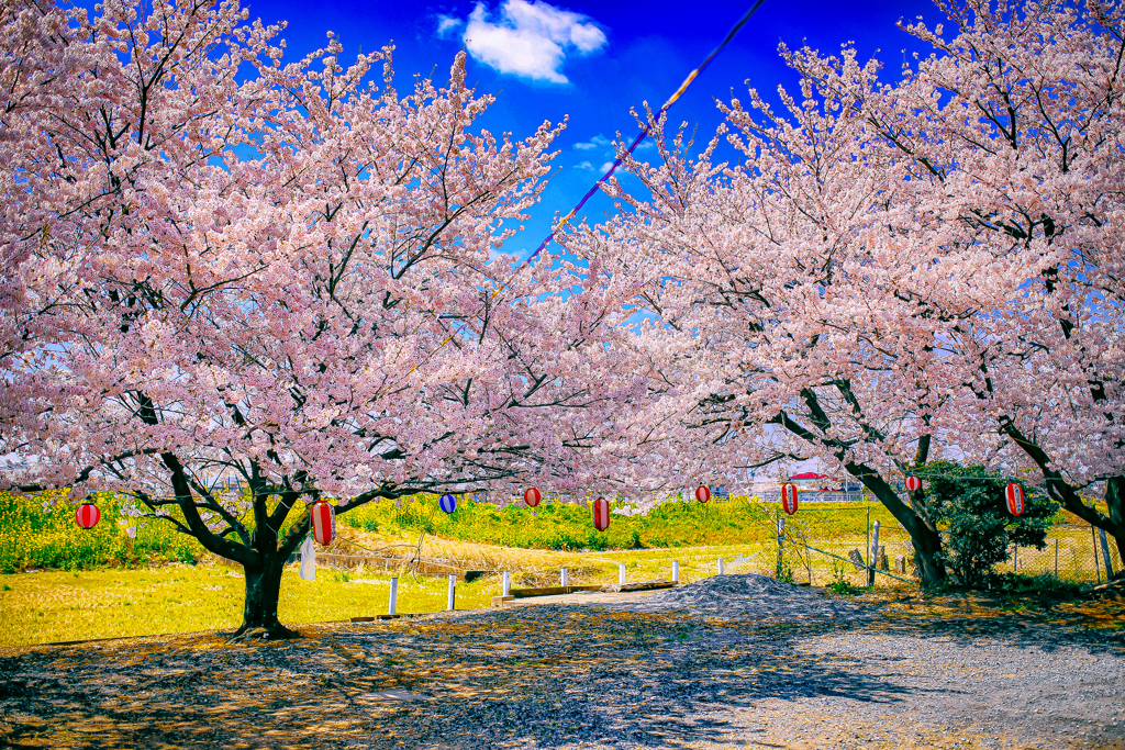 IMG_7756-2-2-3
