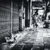 DSC_8458-4-3-2-2s1