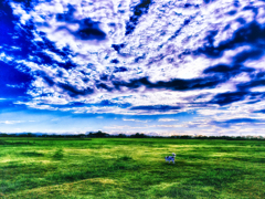 20210818_170955-7-2-2